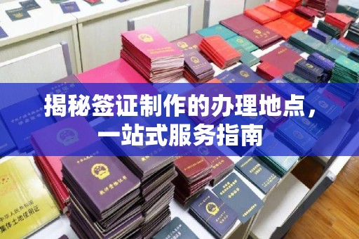 纳雍揭秘签证制作的办理地点，一站式服务指南